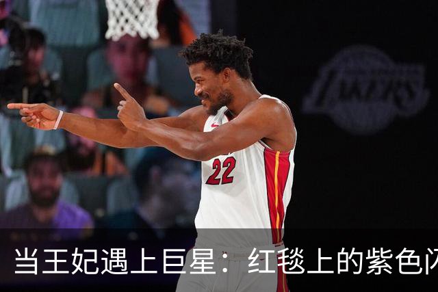 当王妃遇上巨星：红毯上的紫色闪耀